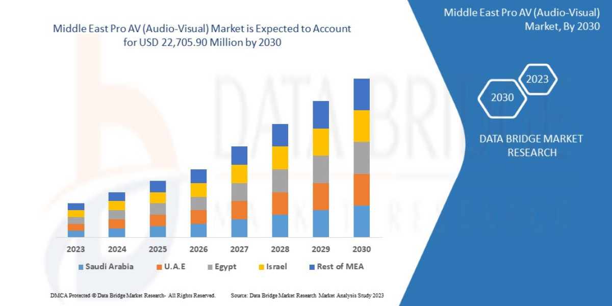 Middle East Pro AV (Audio-Visual) Market: Trends, Forecast, and Competitive Landscape 2025 –2032