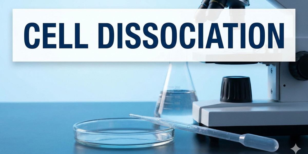 Cell Dissociation Market: Unlocking Growth Potential and Addressing Challenges