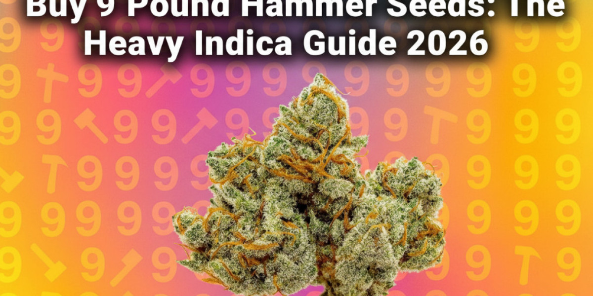 Buy 9 Pound Hammer Seeds: The Heavy Indica Guide 2026
