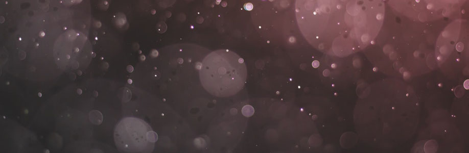Leybnyz Ozworld Cover Image